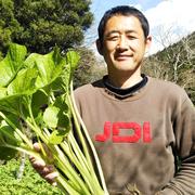 小さめ本生ワサビ_300g前後(訳アリ)お得,お試し,おまかせ ｜ 野菜/薬味