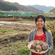 かゆくならないと評判！おおふくの里芋10キロ 農薬不使用有機肥料栽培