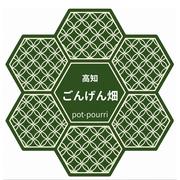 gongen畑のミモザ 銀葉アカシア ｜ 花・植物/花・植物 産直アウル 農家