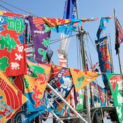 鹿児島産】甘塩ゴーヤ箱込み3キロ^_^ | 野菜/ゴーヤ 産直アウル