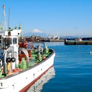鹿児島産】甘塩ゴーヤ箱込み3キロ^_^ | 野菜/ゴーヤ 産直アウル