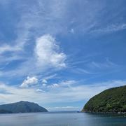 福満ファームの、デストロイヤー（ジャガイモ） | 野菜/じゃがいも