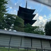 常温便】「松の小箱」産直れんこん1.2キロ！使いやすいサイズ感