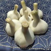 にんにく屋さん 出品 にんにく農家がこだわって作った熟成こんぴら黒にんにく ｜ 野菜/野菜
