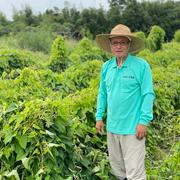 常温保存30日可》強い粘りとやさしい甘み！旬の紫やまいも2kg【紫山芋