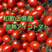 美味しいよ〜(^^)和歌山県産アイコトマト ｜ 野菜/トマト 産直アウル