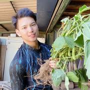 相葉マナブ、昼メシ旅、種から植えるTV出演‼️彩の国のかぶ5玉1