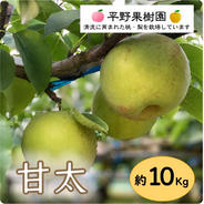 桃源郷錦 あかつき桃 2kg箱(6〜8個入り) ｜ 果物/もも 産直アウル 農家