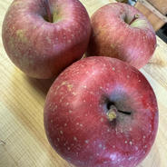 お得な訳あり品] 皮を剥いたら特選サンフジ ｜ 果物/りんご 産直アウル