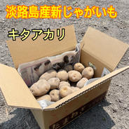 農薬不使用　自慢のじゃがいも　5kg じゃがいも5kg 果物や野菜などのお取り寄せ宅配食材通販産地直送アウル