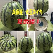 兵庫産　夏武輝　大玉スイカ ６４００ｇ 果物や野菜などのお取り寄せ宅配食材通販産地直送アウル