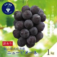 WP-1 花笑み農園　訳あり『ニューピオーネ』1kg【9/7～順次発送】 1㎏ 果物や野菜などのお取り寄せ宅配食材通販産地直送アウル