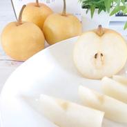 美味しい果汁たっぷり！新興梨 約3kg【程よいサイズ】 ｜ 果物/梨 産直