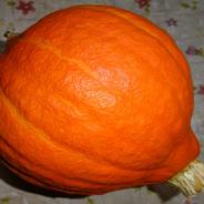 スープやジャムに！「完熟コリンキーかぼちゃ」 最低保証１．５kg 果物や野菜などのお取り寄せ宅配食材通販産地直送アウル