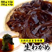 柔らかく歯ごたえ抜群　生わかめ(冷凍)　とれたままの生をそのまま冷凍しました！ 生わかめ[300g×2袋] [150g×4袋] 詰合せ 果物や野菜などのお取り寄せ宅配食材通販産地直送アウル