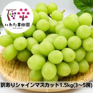【訳あり】山形県高畠町産シャインマスカット約1.5キロ シャインマスカット約1.5キロ(３～5房) 果物や野菜などのお取り寄せ宅配食材通販産地直送アウル