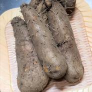 【訳アリ】希少性が高いつくね芋♪ 2kg 2㎏ 果物や野菜などのお取り寄せ宅配食材通販産地直送アウル