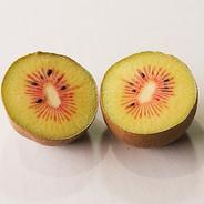 キウイフルーツ 紅妃(こうひ) 2kg 小玉 希少品種 岡山県産 2kg 果物や野菜などのお取り寄せ宅配食材通販産地直送アウル