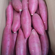 シルクスイート5キロLサイズ 5kg 果物や野菜などのお取り寄せ宅配食材通販産地直送アウル