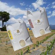 お試しセット】令和7年富良野産 ゆめぴりか、ななつぼし3キロセット