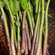 岩手県産　天然あいこ 1.5kg 果物や野菜などのお取り寄せ宅配食材通販産地直送アウル