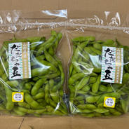 本場鶴岡市白山産だだちゃ豆 3kg(500g×6） ｜ 野菜/枝豆 産直アウル