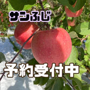 福島県産 家庭用りんご 『サンふじ5kg』 5kg 果物や野菜などのお取り寄せ宅配食材通販産地直送アウル