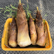 京都産 上質朝堀タケノコ(サイズMIX)🌿3kg 約3kg 果物や野菜などのお取り寄せ宅配食材通販産地直送アウル