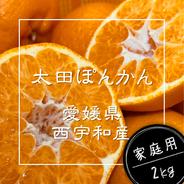 プチプチ食感♪＆種なし】太田ぽんかん《ご家庭用 5kg》｜サイズ混合
