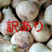淡路島産 たまねぎ 訳あり20kg【飲食店向け】玉葱タマネギオニオン
