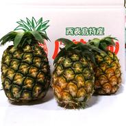 【送料無料】西表島産島パイン（ハワイ種）中玉約6.5㎏（10玉） 約6.5㎏ 果物や野菜などのお取り寄せ宅配食材通販産地直送アウル