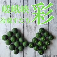 ちりめん赤紫蘇 太い枝なし葉っぱのみ ｜ 野菜/その他野菜 産直アウル