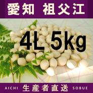 完熟！無農薬グミの実 ｜ 果物/その他果物 産直アウル 農家・漁師など