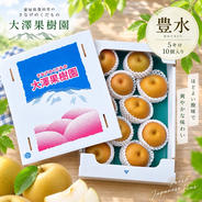 梨 幸水 秀品 10キロ 20個入 ｜ 果物/梨 産直アウル 農家・漁師など