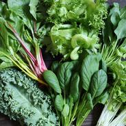 ココワークの新鮮野菜500g 約500g 果物や野菜などのお取り寄せ宅配食材通販産地直送アウル