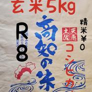 送料込み 令和8年産 新米 高知県産 コシヒカリ 玄米30kg(袋込み) ｜ 米