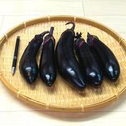 【おすすめ商品】瑞々しく甘く美味しい中長茄子　農薬不使用（無農薬）栽培 中長ナス　約2.0㎏ 果物や野菜などのお取り寄せ宅配食材通販産地直送アウル