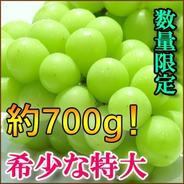 シャインマスカット家庭用8房(3.0kg) ｜ 果物/ぶどう 産直アウル 農家