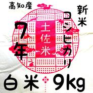 令和8年産 新米 高知県産 コシヒカリ 玄米25kg(袋込み) ｜ 米・穀物