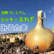 送料無料‼︎激甘‼️淡路島産玉ねぎ 七宝 5kg 5kg 果物や野菜などのお取り寄せ宅配食材通販産地直送アウル