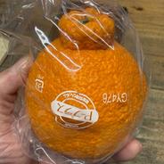 家庭用 不知火 5キロ箱 （15玉から22玉入）デコポンと同じ品質 みかん