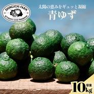 黄柚子 キズ少なめ 5kg ｜ 果物/香酸柑橘(ライム・レモン等) 産直