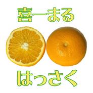 喜一まる「はっさく」2kg 約2kg（5～6個） 果物や野菜などのお取り寄せ宅配食材通販産地直送アウル