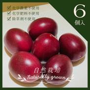 【Passion Jewel】パッションジュエル パッションフルーツ６玉 果物や野菜などのお取り寄せ宅配食材通販産地直送アウル
