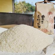 幻の米】農林48号通称「武川米」3kg ｜ 米・穀物/米/精米 産直アウル