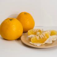 【大粒プリプリの果肉】河内晩柑 3kg【家庭用】【ほのかな甘みに爽やかな酸味】【アウルの日】 河内晩柑 3kg 果物や野菜などのお取り寄せ宅配食材通販産地直送アウル