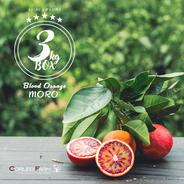 農園イチオシ柑橘>【EHIME UWAJIMA】 ブラッドオレンジ〈モロ〉5kg