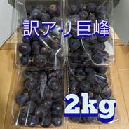 山梨県産　訳あり 種無し　巨峰 2kg 果物や野菜などのお取り寄せ宅配食材通販産地直送アウル
