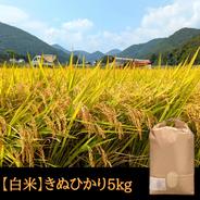 新米令和7年 淡路島産 キヌヒカリ 100% 10キロ ｜ 米・穀物/米/精米