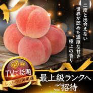 【お中元ギフト】🍑贈答用ブランド極上朝採れ桃🍑【6月下旬】わずか5%しか収穫されない糖度16度以上を誇る一流レストラン御用達ワンランク上の濃厚な甘さ【旬祭限定】 贈答ワンランク上約1.5kg 果物や野菜などのお取り寄せ宅配食材通販産地直送アウル